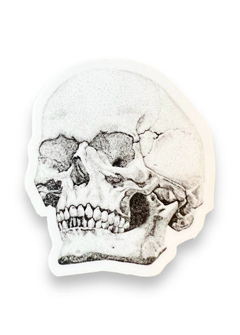 Skull Sticker by Big Moods, Sold by Le Monkey House