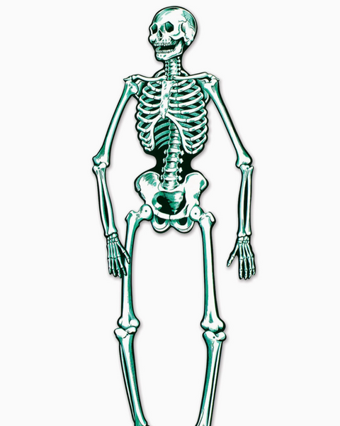 Jointed skeleton Halloween decoration by Beistle sold by Le Monkey House