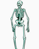Jointed skeleton Halloween decoration by Beistle sold by Le Monkey House