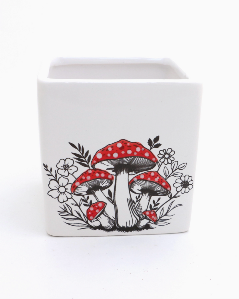 Mushrooms illustration black and red ceramic planter by Lenny Mud USA sold by Le Monkey House