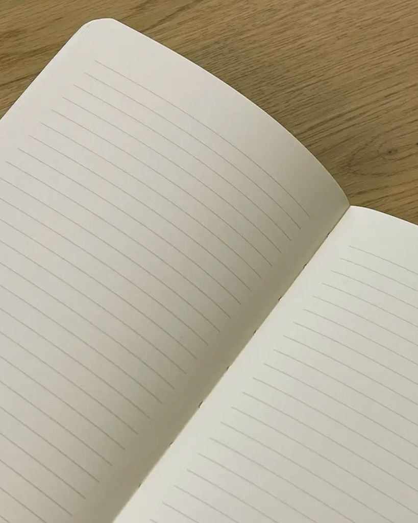 Ledger of perceived slights luxe journal by The Mincing Mockingbird sold by Le Monkey House