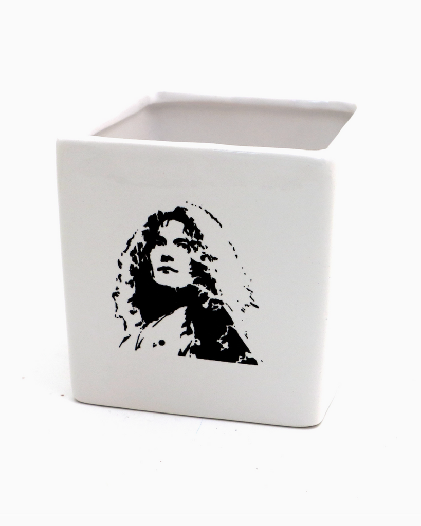Robert plant small ceramic planter by Lenny Mud USA sold by Le Monkey House