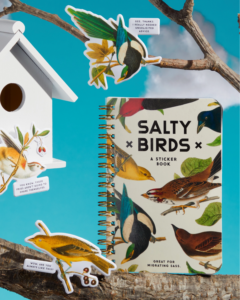 Salty birds sticker book by Brass Monkey sold by Le Monkey House Great for migrating sass