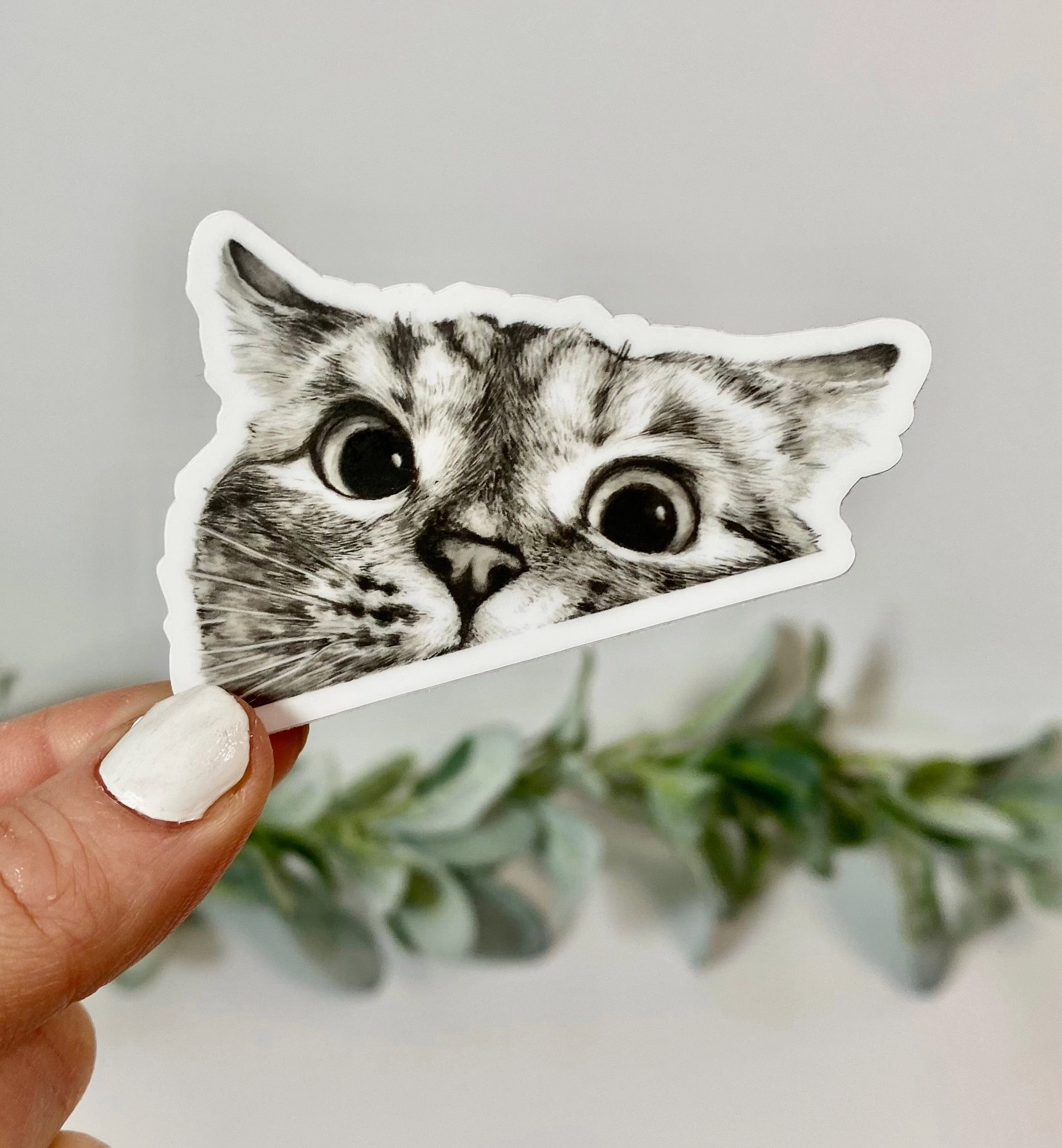 Peek A Boo Kitty Sticker