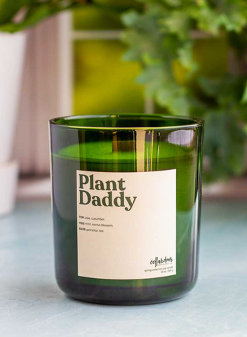 Plant Daddy Soy Candle by Cellar Door Bath Supply sold by Le Monkey House