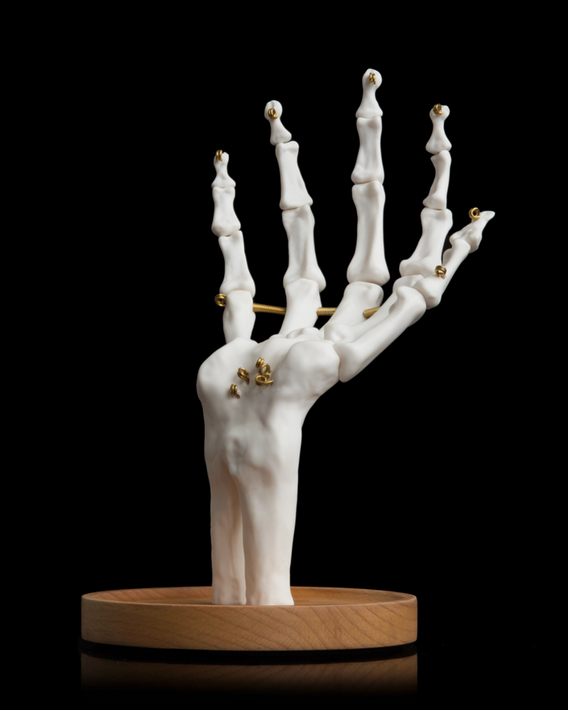 Skeleton hand tidy posable metal and plastic jewelry tidy - keep things in the palm of your hand - by Suck UK sold by Le Monkey House