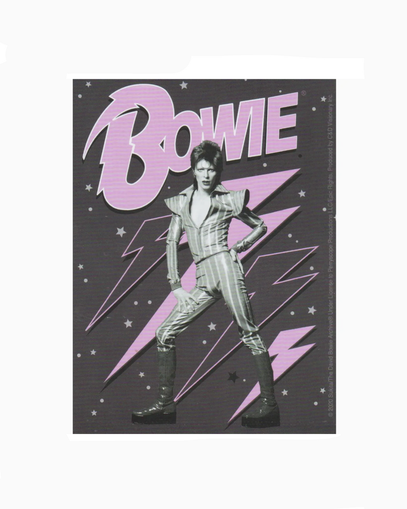 Ziggy Stardust, David Bowie Sticker by Square Deal Recordings sold by Le Monkey House