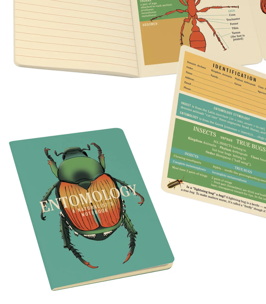 Entomology Pocket notebook by Unemployed Philosophers Guild Sold by Le Monkey House