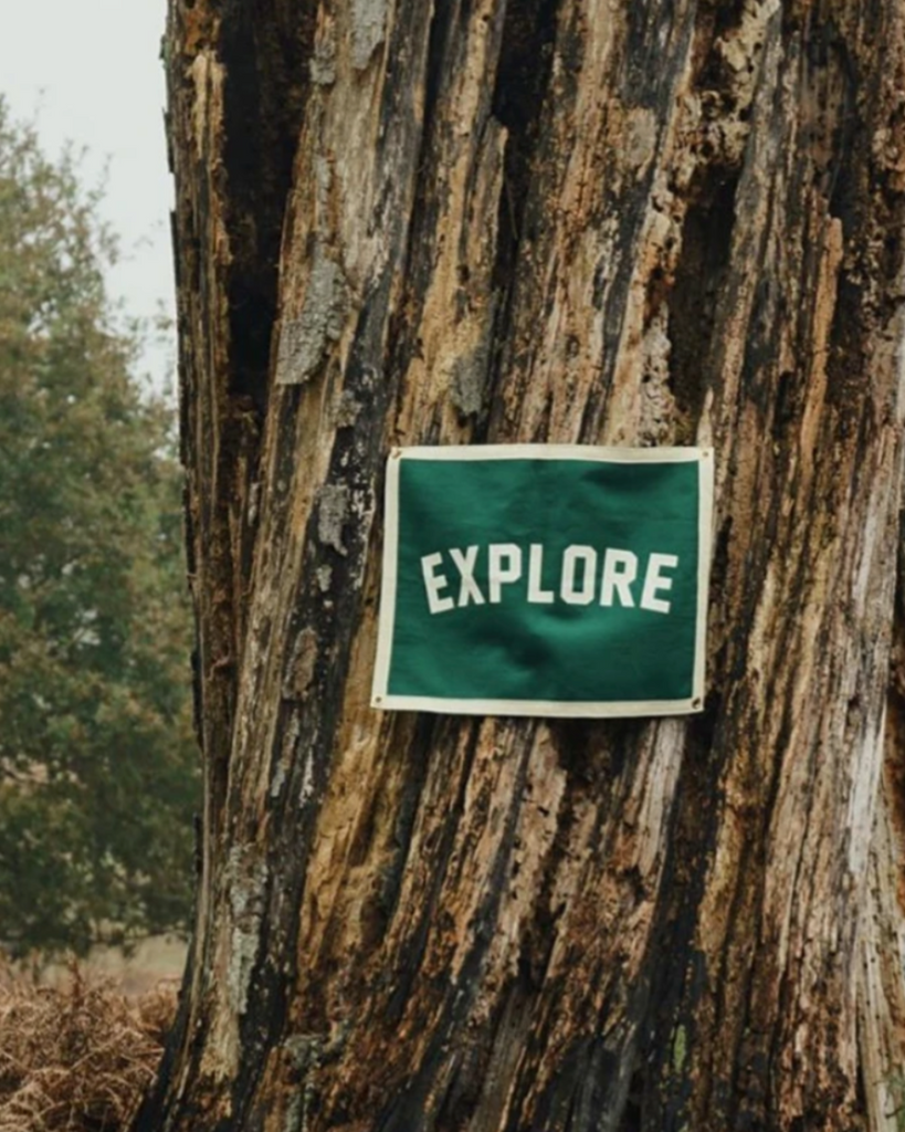 Explore green and white felt camp flag by oxford pennant sold by Le Monkey House