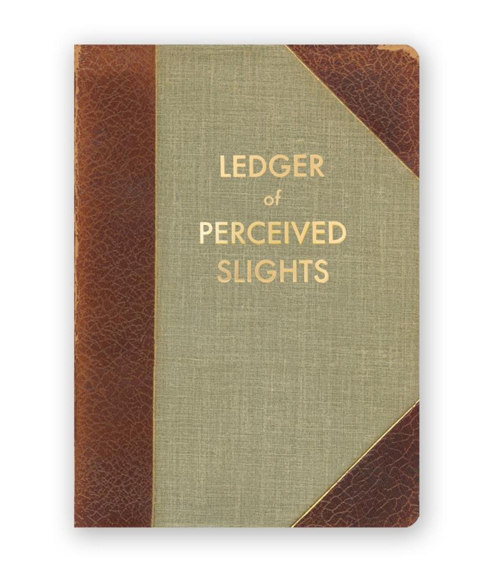 Perceived Slights Journal