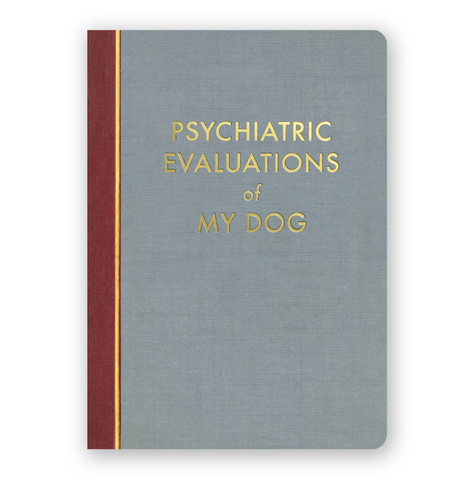 Psychiatric Evaluations Journal