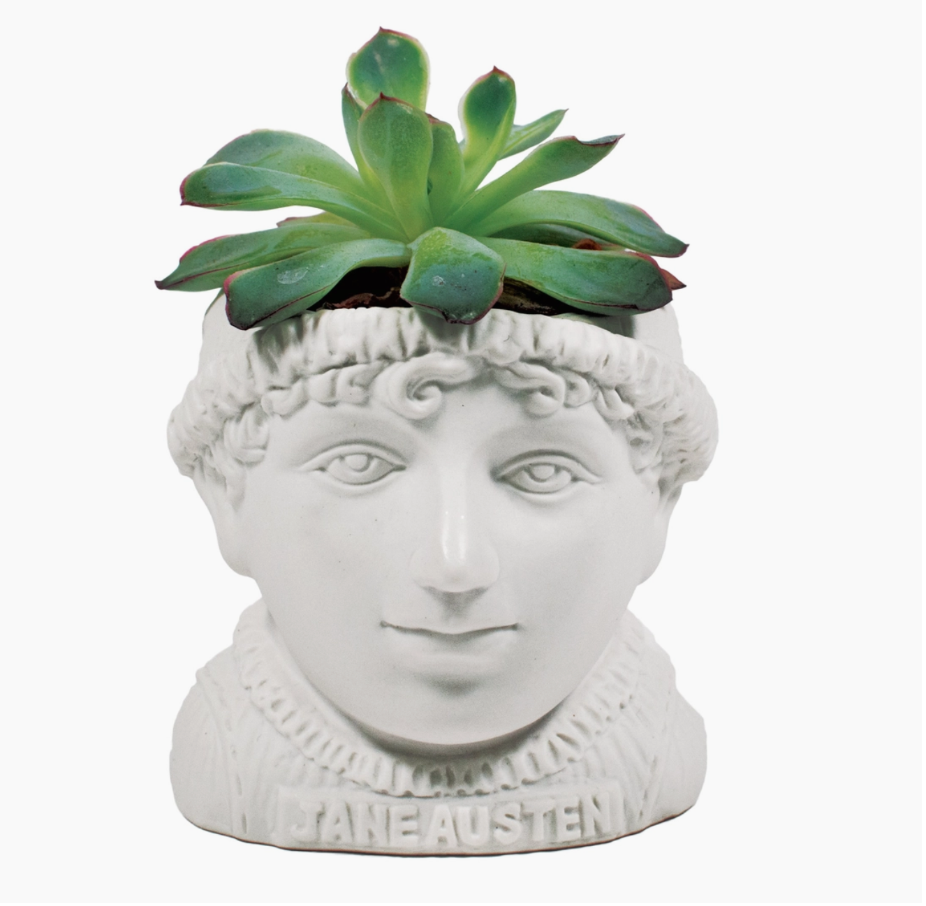 Jane Austen Planter