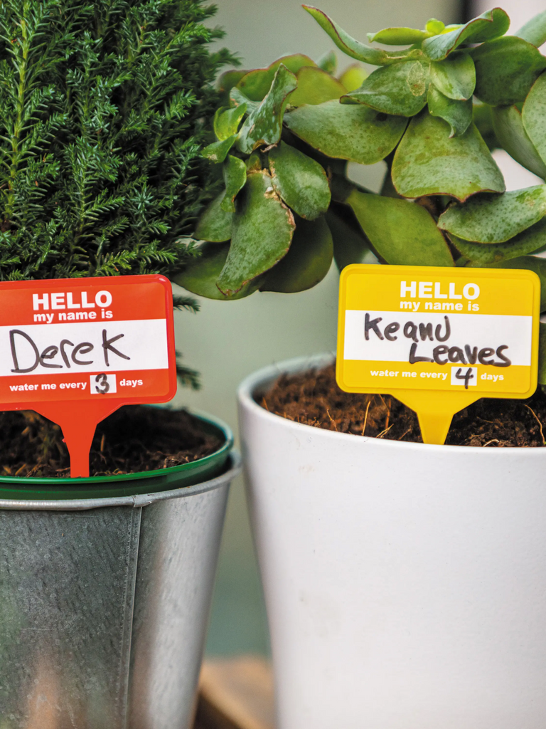 Plant Name Badges for Indoor House plants, dry erase stake signs by Bubblegum Stuff, Sold by Le Monkey House