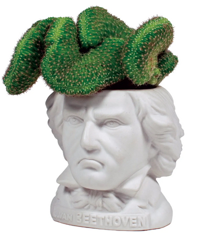 Ludwig Von Beethoven Ceramic Succulent Planter