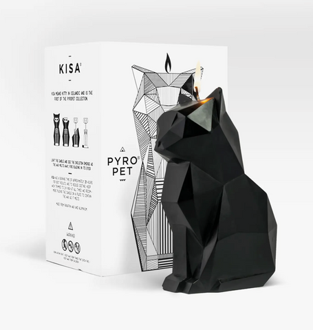 PyroPet Cat