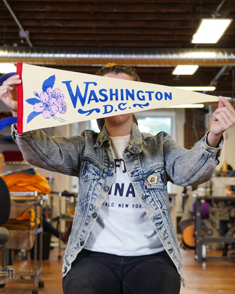 Washington DC Felt Pennant by Oxford Pennant sold by Le Monkey House