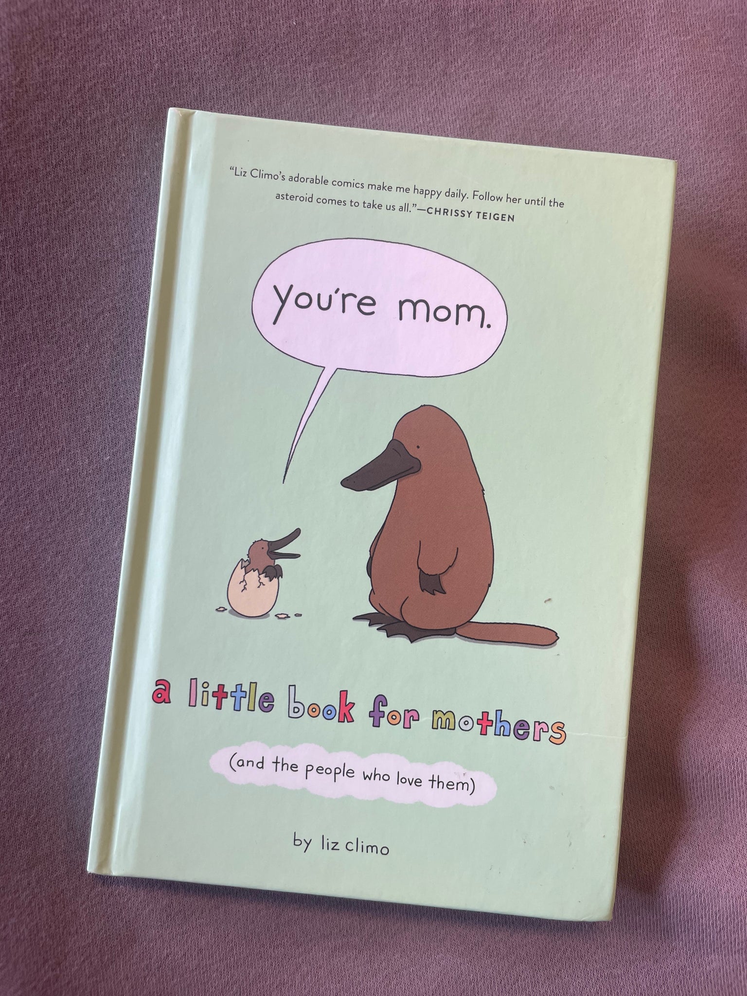 Little Book For Mothers